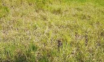 Imagem 3: SÍTIO PARA VENDER EM CAÇAPAVA