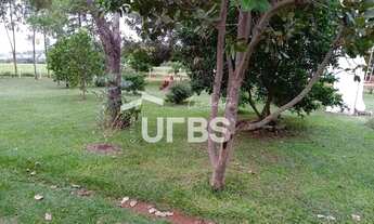 Imagem 7: Chácara em Inhumas beira da rodovia GO 070