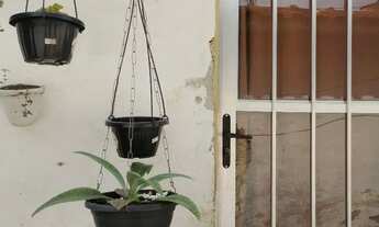 Imagem: Quatro kitnetes podendo ampliar