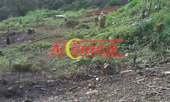 Imagem 3: ÁREA DE 30.000 M2