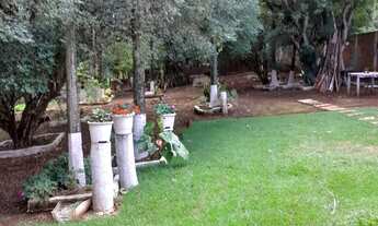 Imagem 7: Chácara de 1000m²