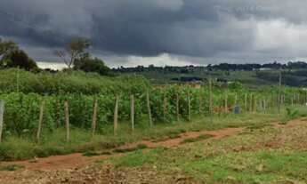 Imagem: Vendo lote 90.000