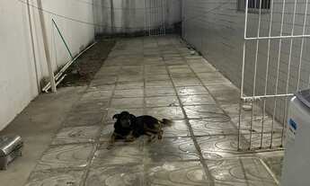 Imagem 6: Apartamento térreo com área privativa