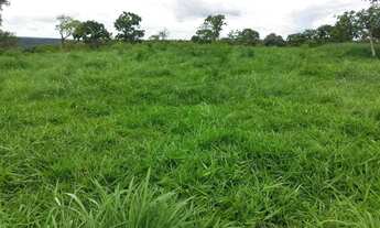 Imagem 4: Chácara disponível para venda em São Miguel do Passa Quatro Goiás