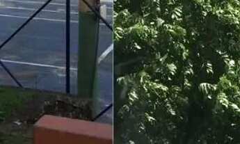 Imagem: APARTAMENTO 3 QUARTOS DE 76m² no ENG. VELHO