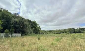 Imagem 5: Imóvel para venda com 13310 metros quadrados em Área Rural de Araucária - Araucária - PR