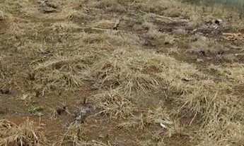 Imagem 2: Terreno residencial espaçoso e privilegiado em Goiânia