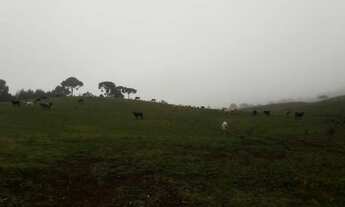 Imagem: Fazenda 103 alqueires a Venda em Agua Doce/General