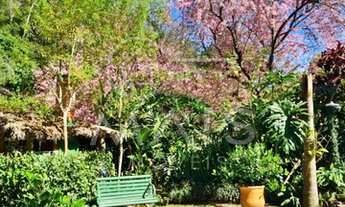 Imagem 2: Tranquilidade em Meio a Natureza