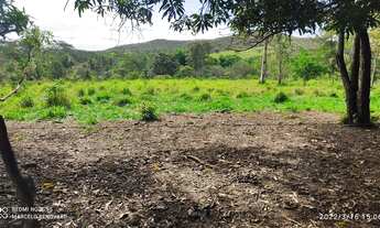 Imagem: Fazenda para venda possui 50 alqueires em