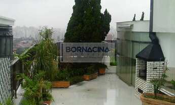 Imagem: SãO PAULO - Padrão - Campo Belo