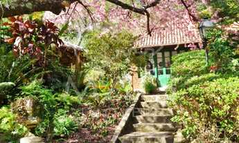 Imagem 4: Tranquilidade em Meio a Natureza