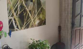 Imagem 4: VSc apartamento São caetano