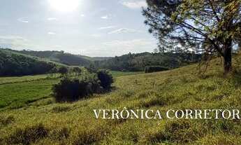Imagem 6: Sítio venda em Rio Novo MG. 32 hectares