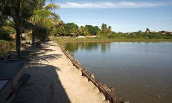 Imagem 1: Vendo Viveiro no Albano Franco