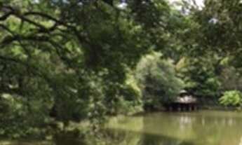 Imagem 3: Terreno com projeto aprovado e ótima topografia ao lado do tênis clube