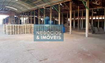 Imagem 6: Galpão disponível para Locação em Barra Bonita/SP