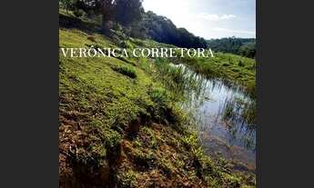 Imagem 4: Sítio venda em Rio Novo MG. 32 hectares