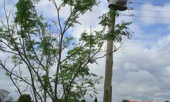 Imagem 3: Área de 22,14 hectares em General Câmara, RS