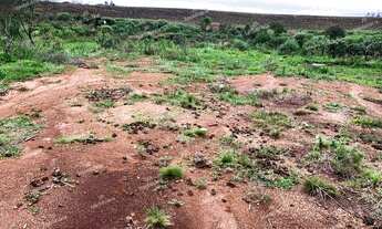 Imagem: Excelente Chácara Sem Benfeitorias