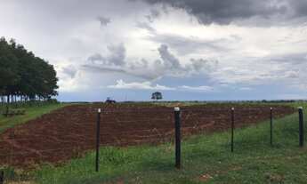 Imagem 6: FAZENDA COM 82 ALQUEIRES EM GENERAL SALGADO-SP
