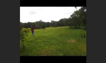 Imagem 5: Vendo fazenda na Barraria TO/MA