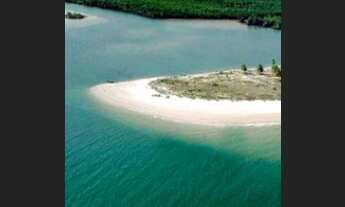 Imagem 4: Vendo área com 72.000 m2 no Aratincum - Jandaira Ba