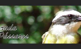 Imagem 7: Terreno à venda, 495 m² por R$ 600.000,00 - Morada dos Pássaros - Barueri/SP