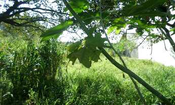 Imagem 4: Lote de 360 m² Bairro Niterói