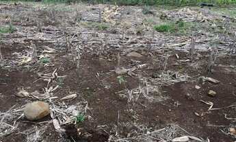 Imagem 5: Terreno 1.260,00,m², frente cercada, lugar alto linda vista, plano