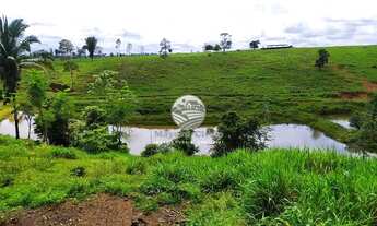 Imagem 4: Venda - Sítio - Vale do Anari - 25 Alqueires Top