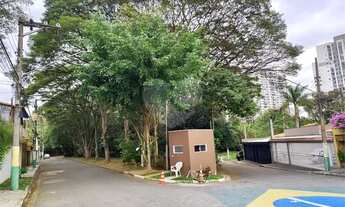 Imagem 5: São Paulo - Casa Padrão - Parque Continental