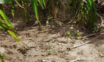 Imagem 5: Casa localizada na Rua Lamarão, Centro Água Fria