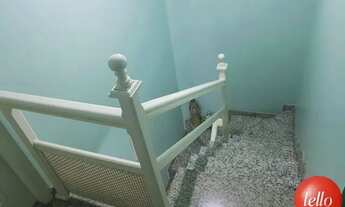 Imagem 3: São Paulo - Casa Padrão - Penha