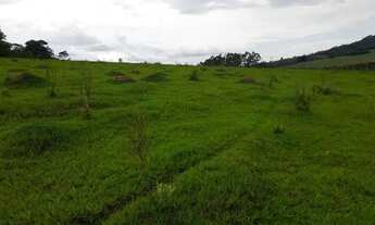 Imagem 2: Sitio com 14 Alqueires em Itamogi - Mau