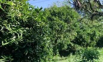 Imagem 3: VENDE-SE CASA COM TERRENO EM SANTO AMARO DA IMPERATRIZ