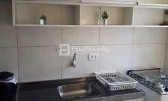 Imagem 3: Em Coqueiros - Florianópolis