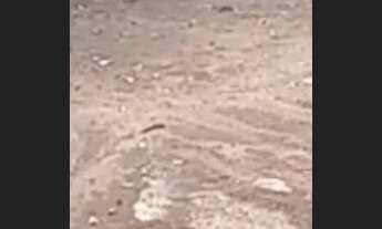 Imagem: Terreno em George Oeterer (Plano