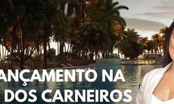 Imagem: Imagina só um final de tarde, um vinho