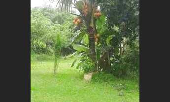 Imagem 5: Sitio com casa e piscina mil metro quadrado livre