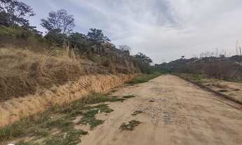 Imagem 3: Lote Tropical Contagem Top e barato pra vender rápido