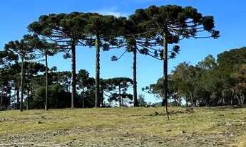 Imagem 4: TERRENO COM ALTO POTENCIAL TURÍSTICO!!!