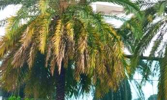 Imagem: Apartamento - Diamond Residence - Centro