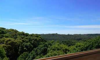 Imagem 4: Apartamento 3 Dorm - Bairro Centro