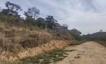 Imagem 6: Lote Tropical Contagem Top e barato pra vender rápido