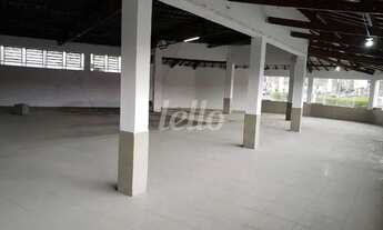 Imagem: Guarulhos - Loja/Salão - Jardim Santa Francisca