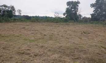 Imagem 5: Terreno no brasileirinho