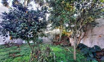 Imagem 7: Casa comercial para locação