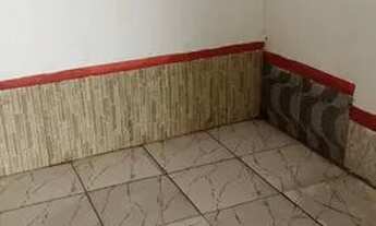 Imagem: Kit na 314 samambaia R$480 c/água/luz