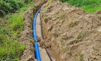 Imagem: Vendo excelente Fazenda de limao